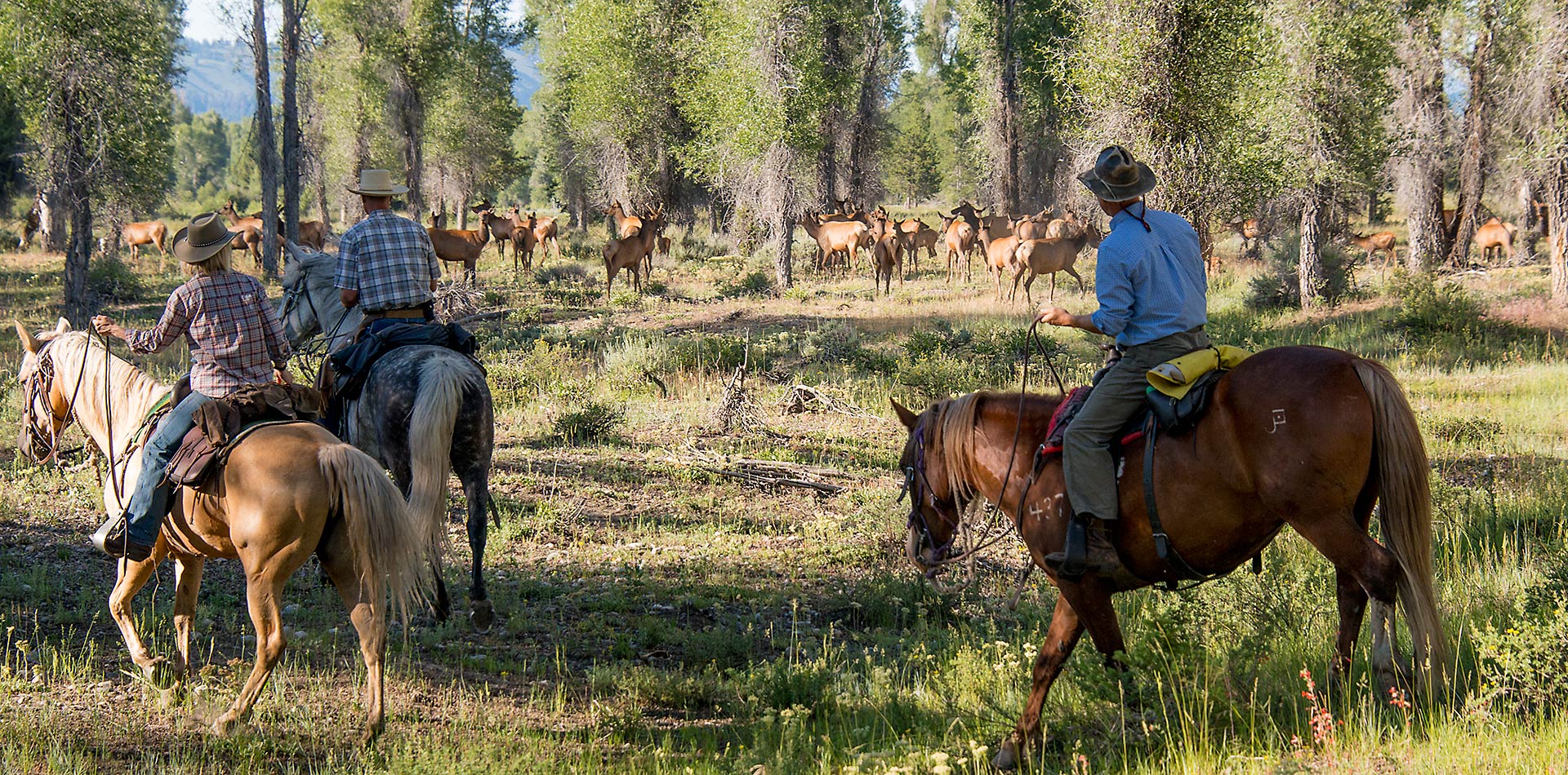 Triangle X Ranch - Jackson Hole - Grand Teton National Park