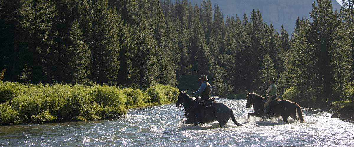 Triangle X Pack Trips - Jackson Hole