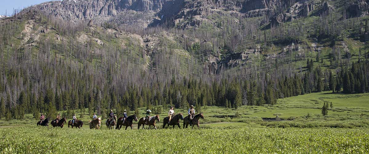 Triangle X Pack Trips - Jackson Hole