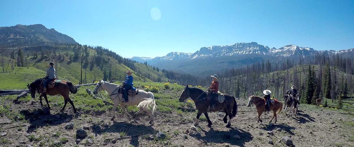 Triangle X Pack Trips - Jackson Hole