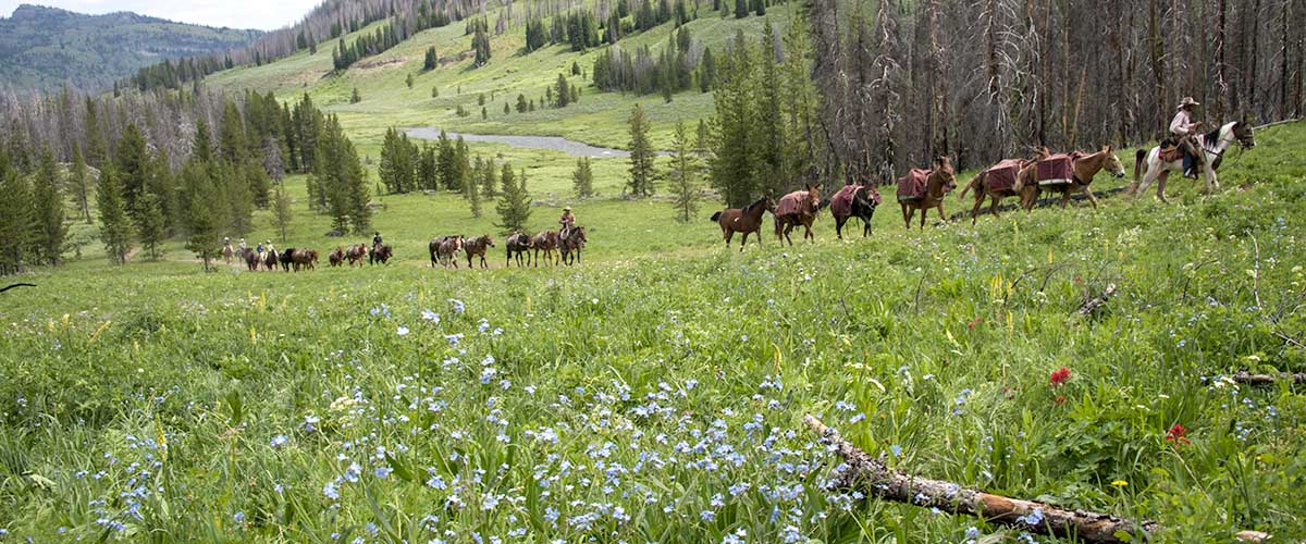 Triangle X Pack Trips - Jackson Hole
